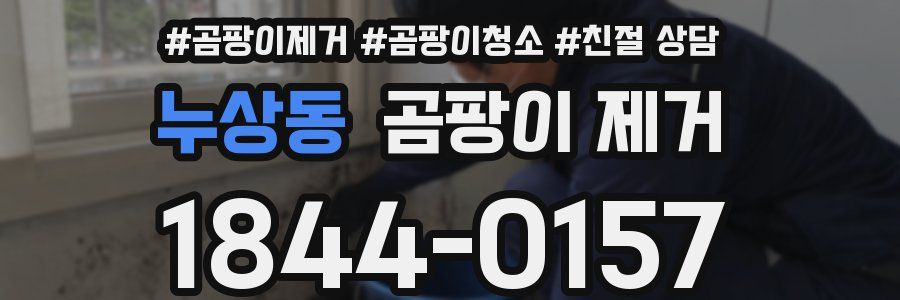 누상동 곰팡이 제거