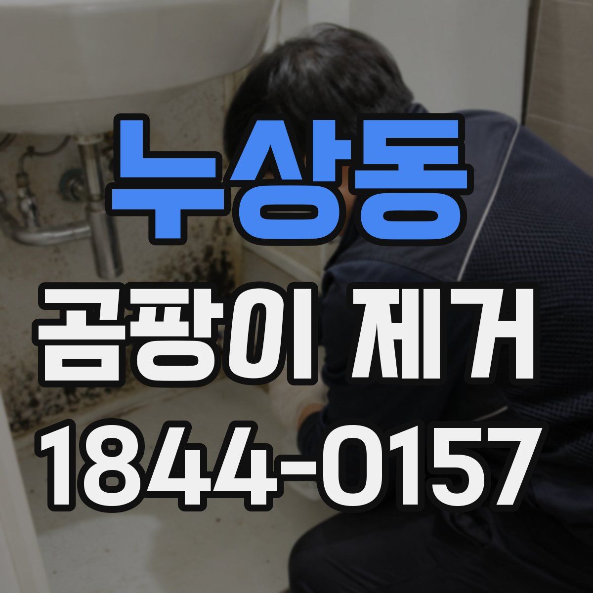 누상동 곰팡이 제거