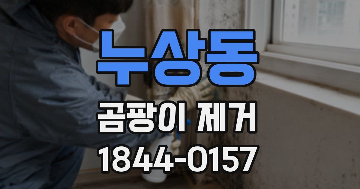 누상동 곰팡이 제거