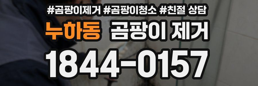누하동 곰팡이 제거