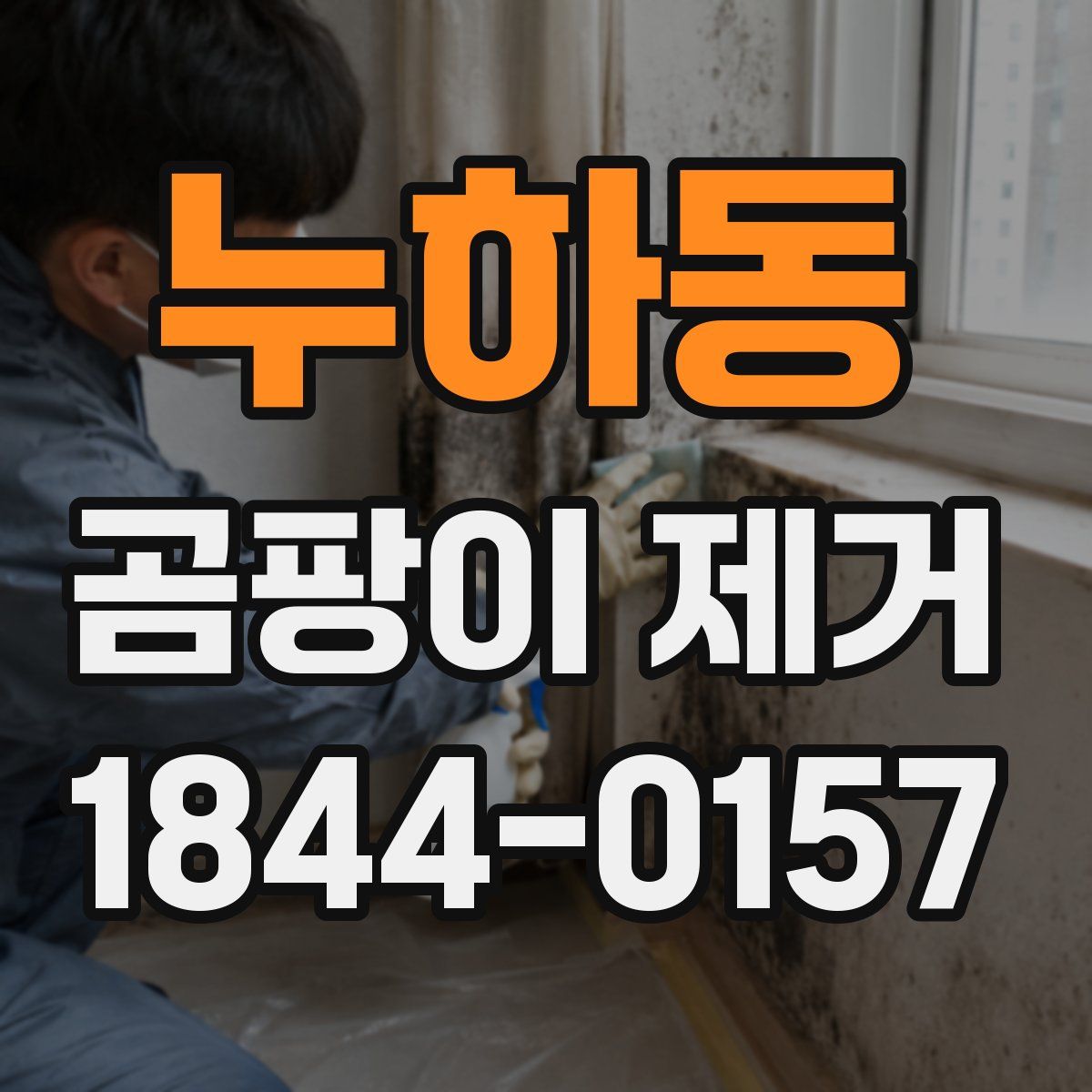 누하동 곰팡이 제거