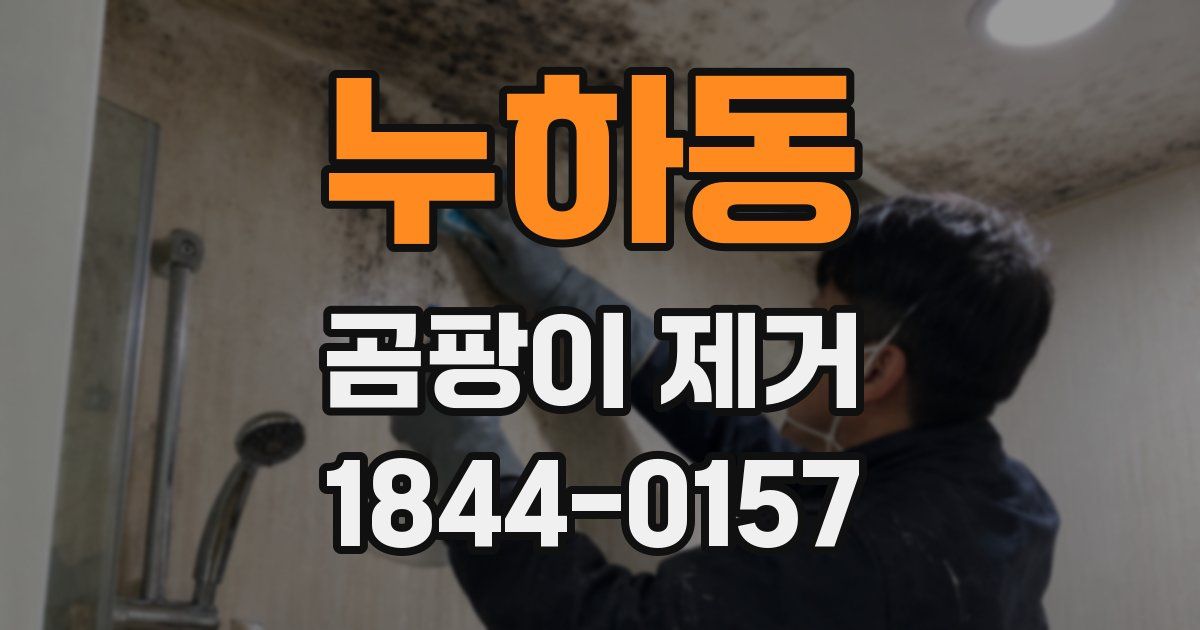 누하동 곰팡이 제거