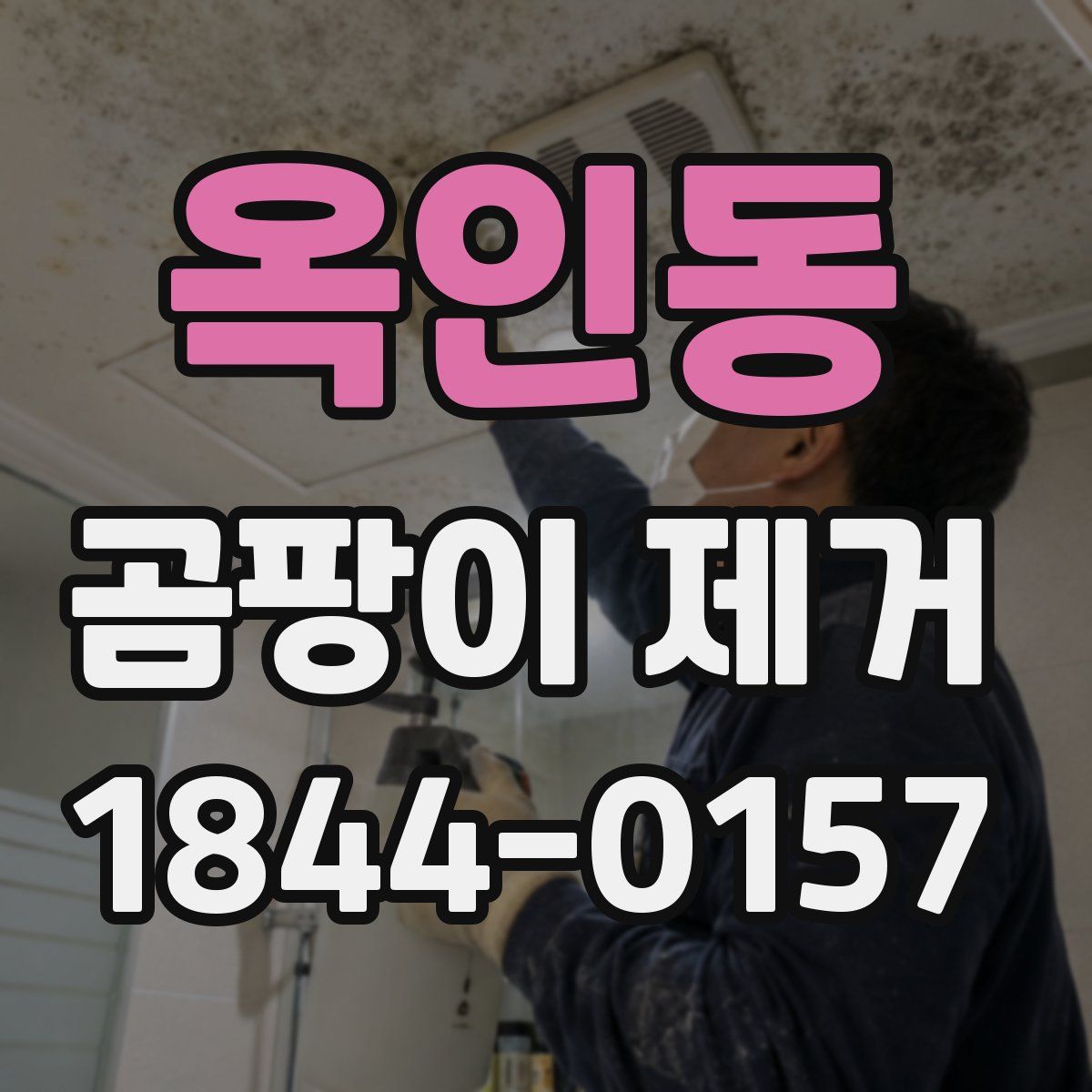 옥인동 곰팡이 제거
