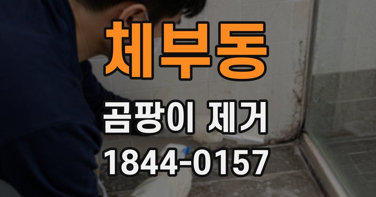 체부동 곰팡이 제거