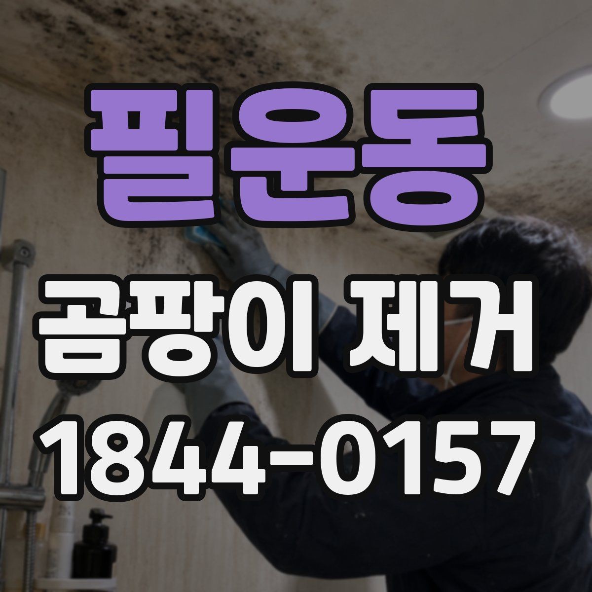 필운동 곰팡이 제거 방치하기 쉬운 구석과 틈새 정리