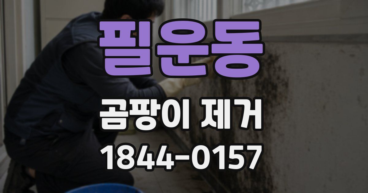필운동 곰팡이 제거