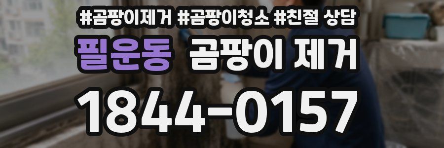 필운동 곰팡이 제거