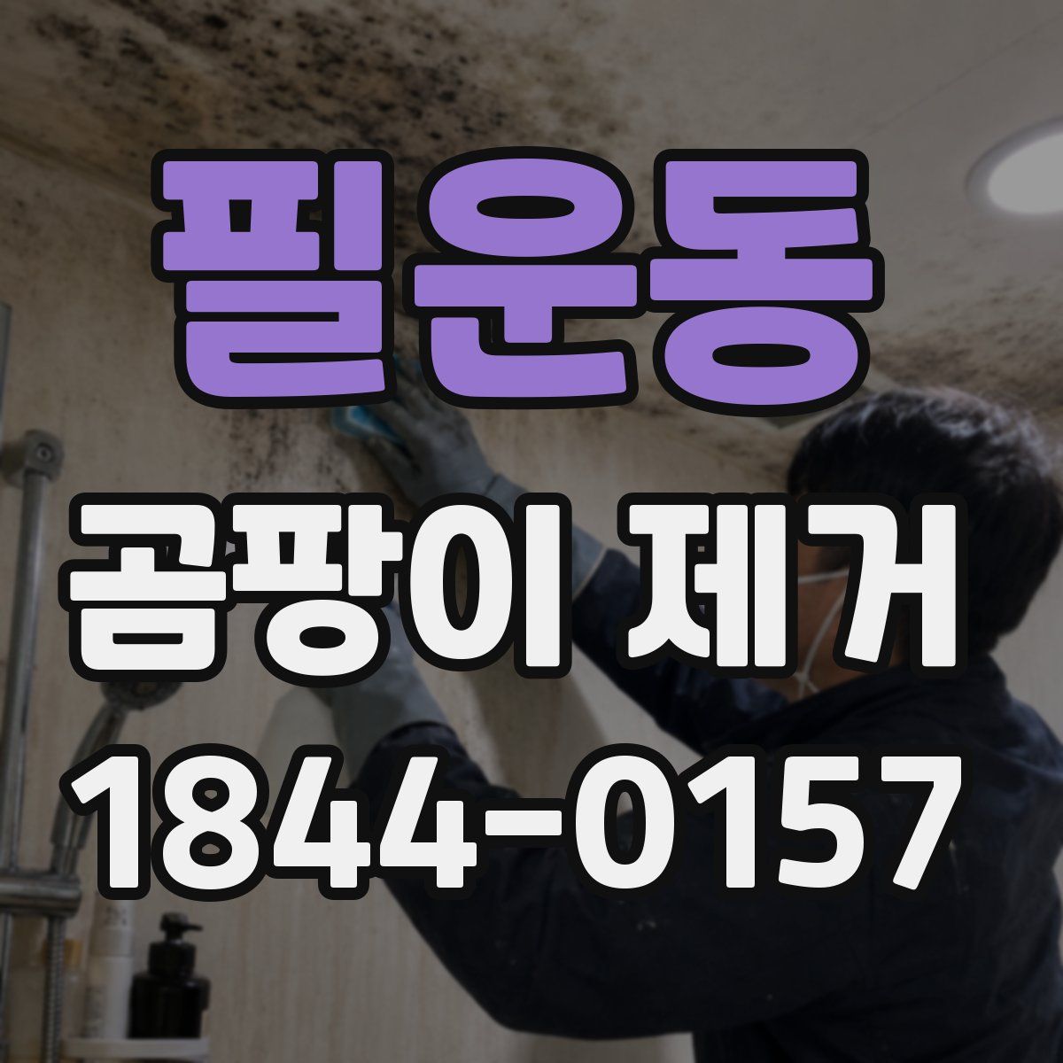 필운동 곰팡이 제거