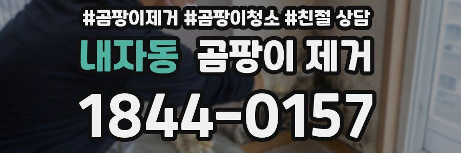 내자동 곰팡이 제거