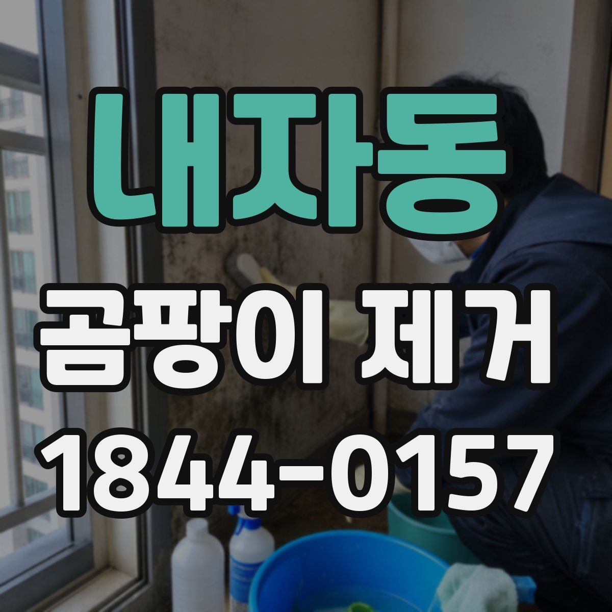 내자동 곰팡이 제거