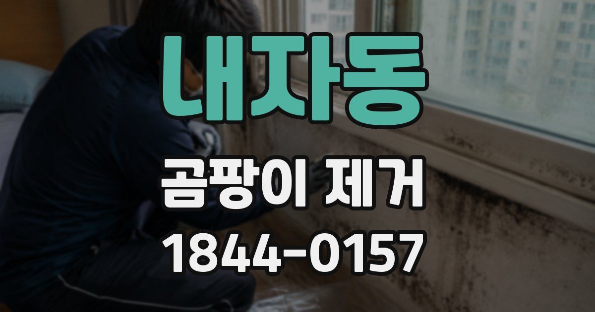 내자동 곰팡이 제거