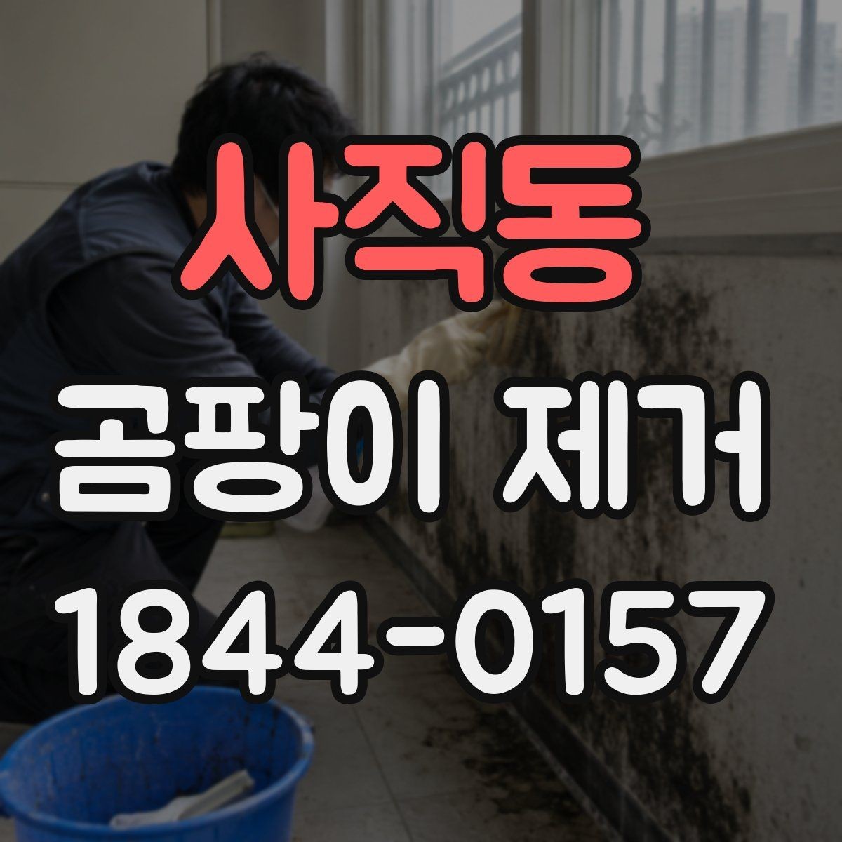 사직동 곰팡이 제거 작업 시간과 마르는 과정 이해하기