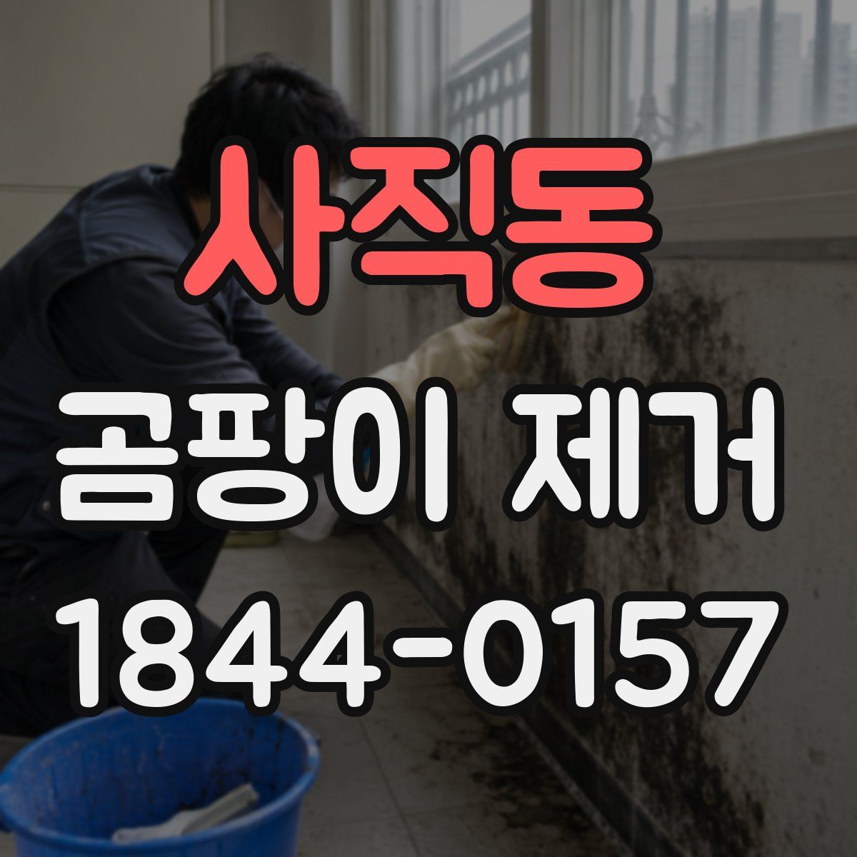 사직동 곰팡이 제거