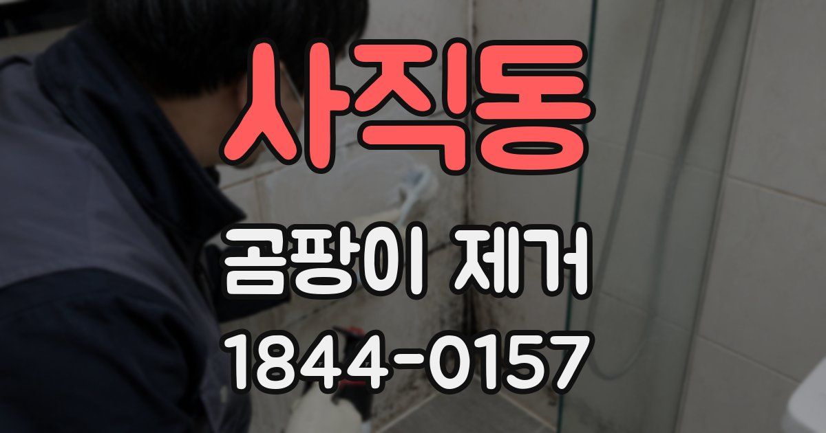 사직동 곰팡이 제거