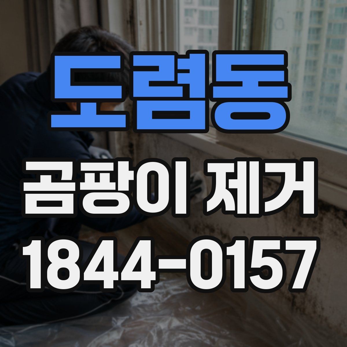 도렴동 곰팡이 제거 세입자와 집주인이 나눠 볼 책임