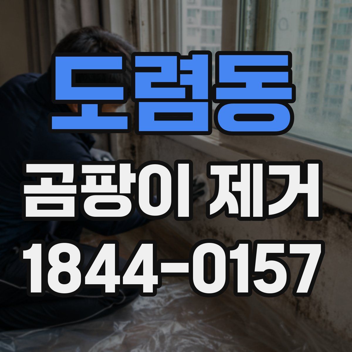 도렴동 곰팡이 제거