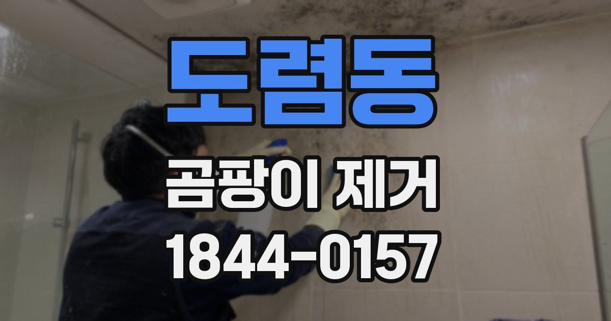 도렴동 곰팡이 제거