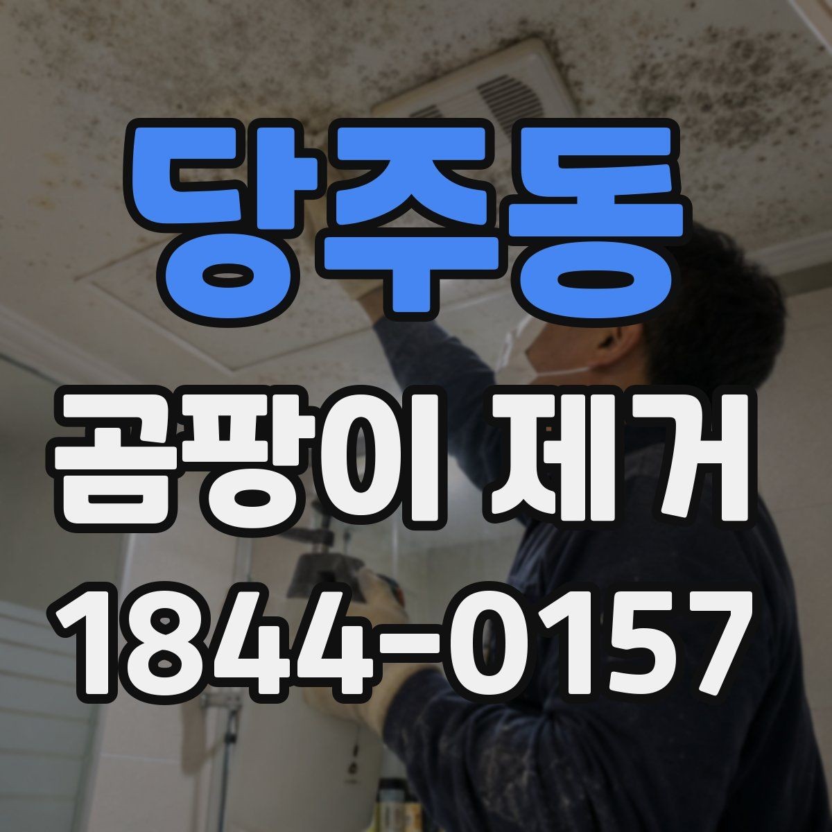 당주동 곰팡이 제거 바닥 습기와 냄새가 느껴질 때