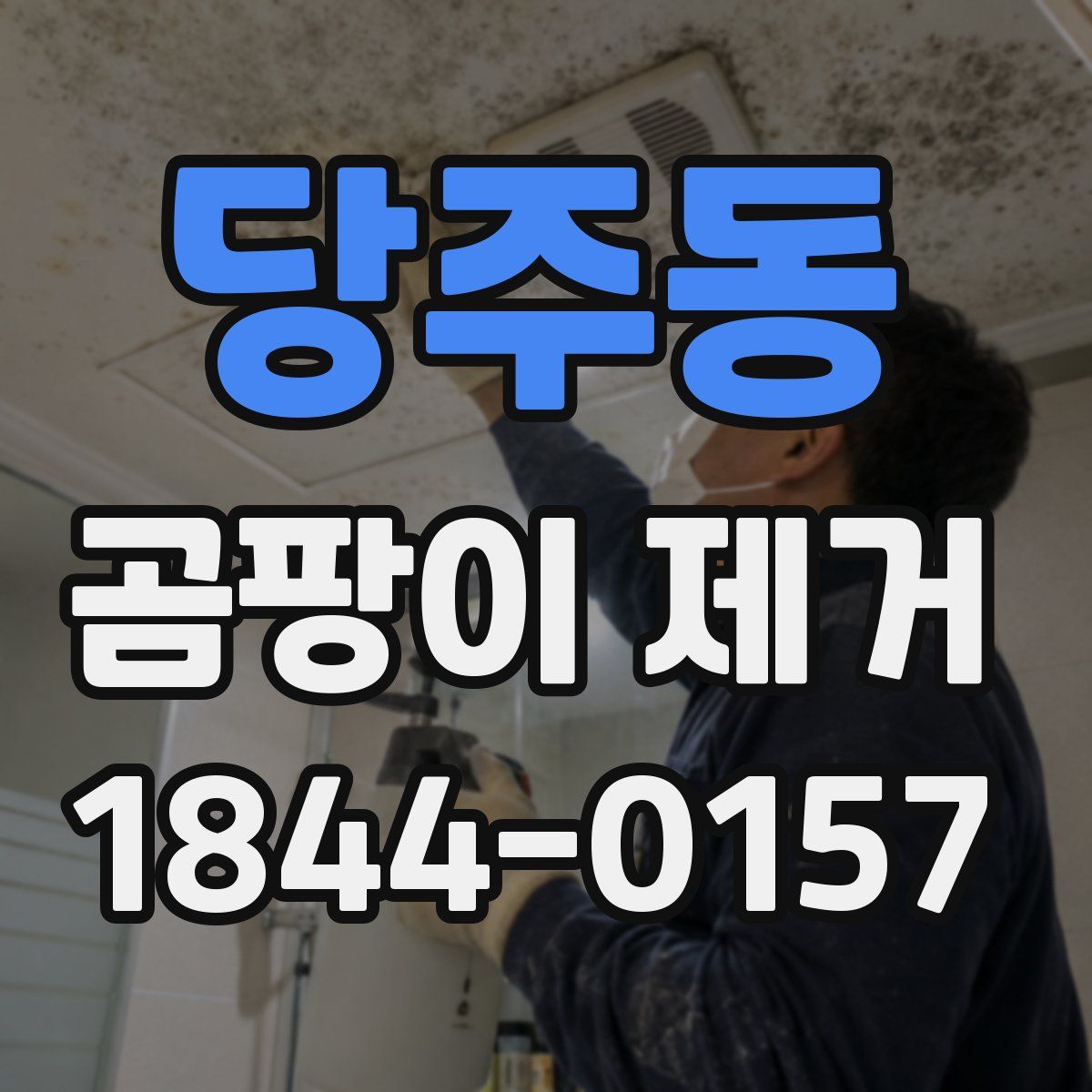 당주동 곰팡이 제거