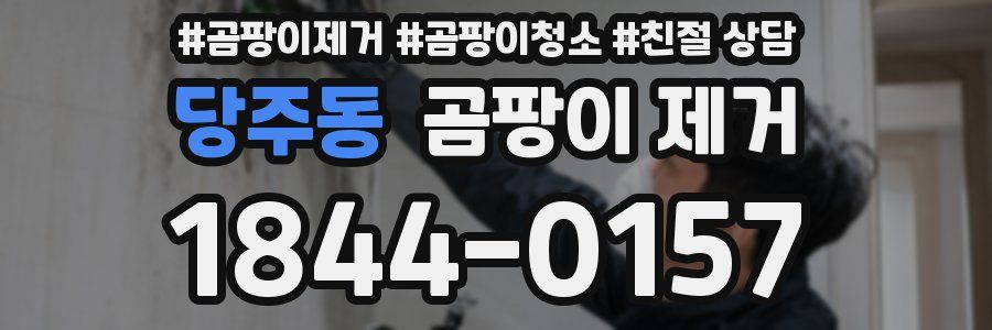 당주동 곰팡이 제거