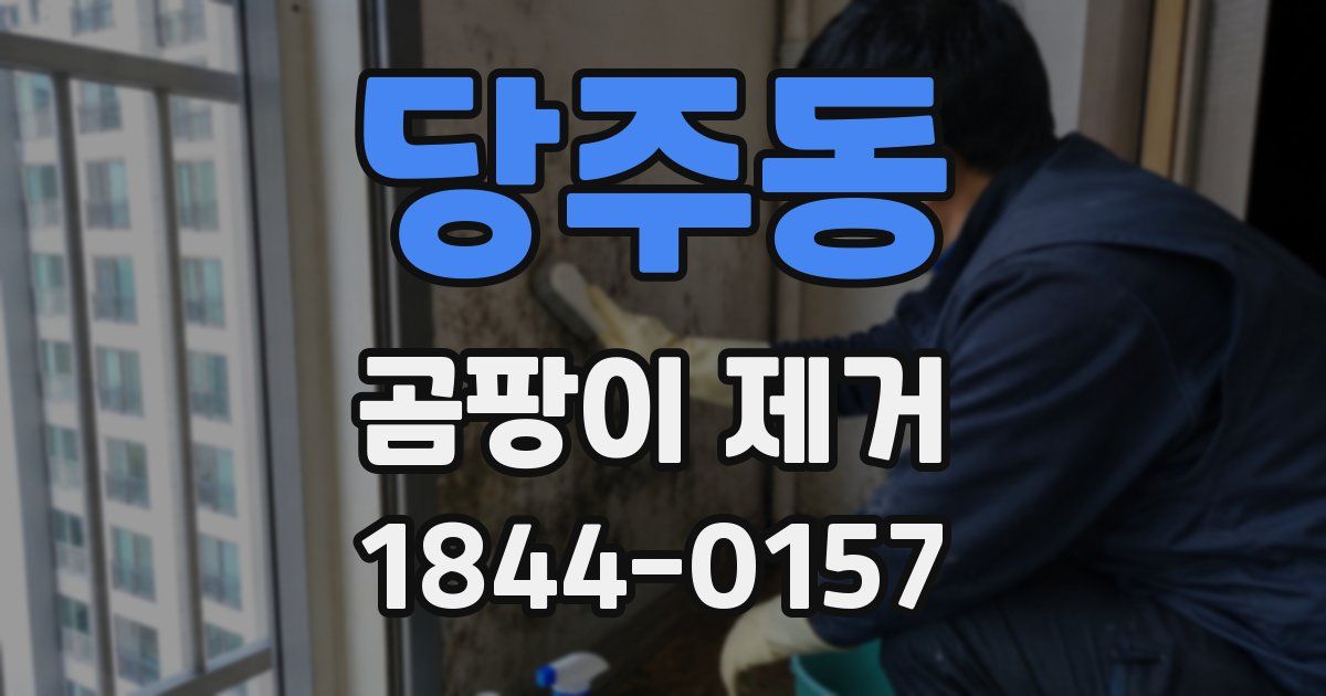 당주동 곰팡이 제거