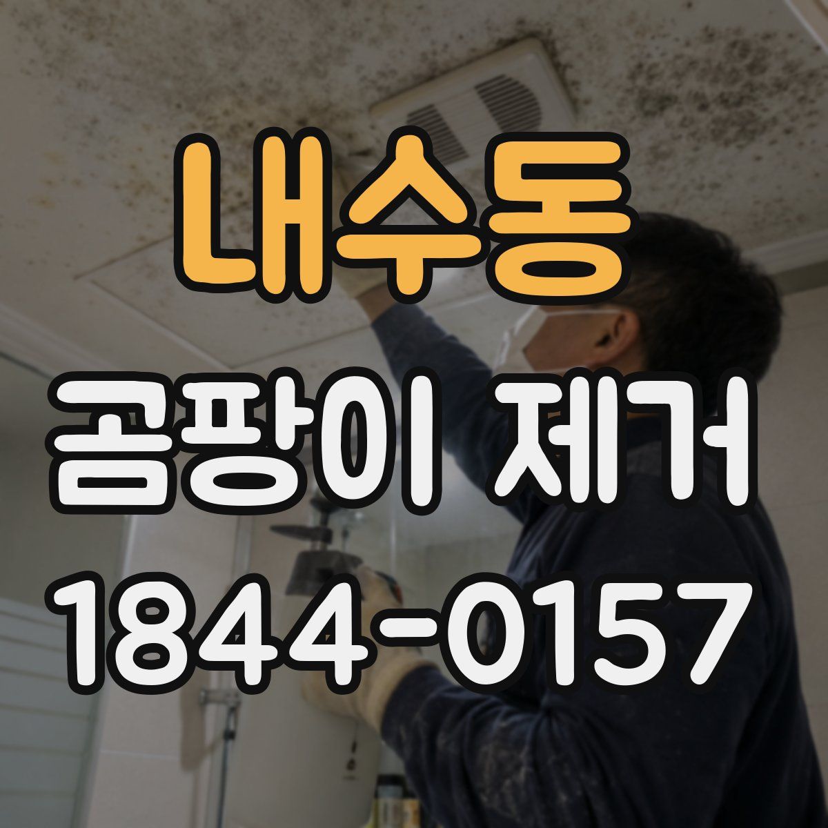 내수동 곰팡이 제거