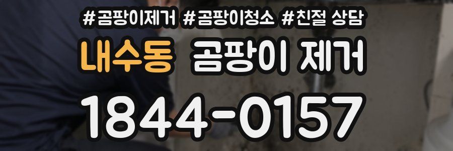 내수동 곰팡이 제거