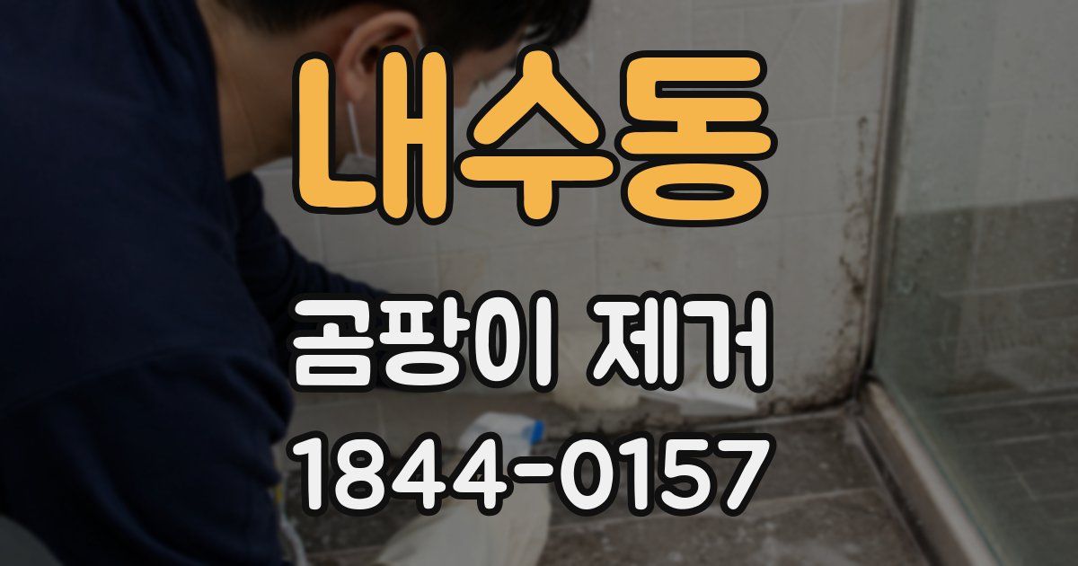 내수동 곰팡이 제거