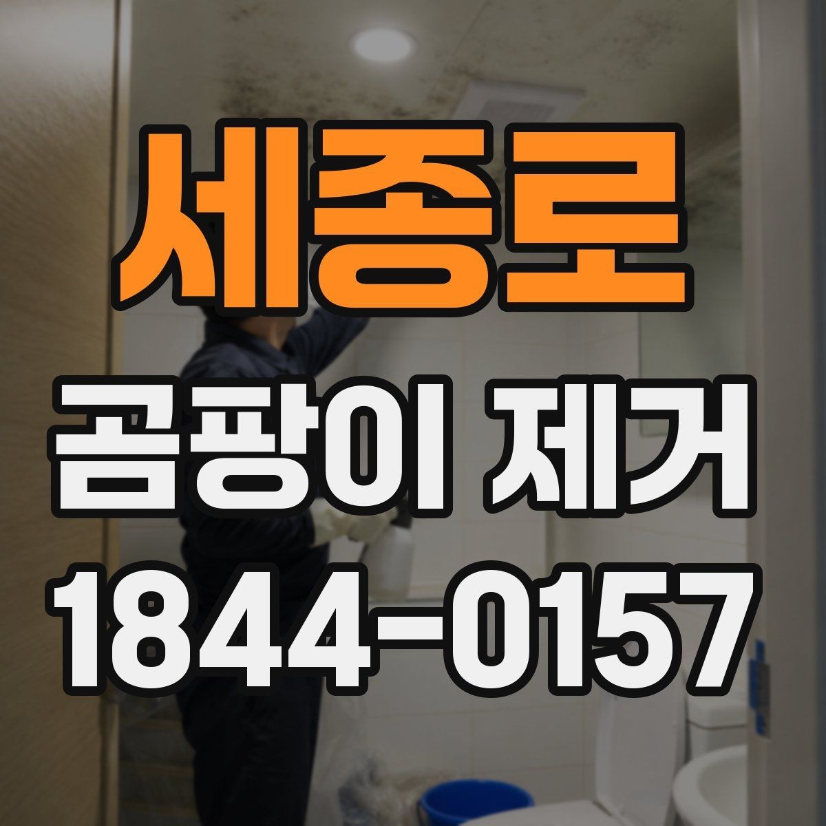 세종로 곰팡이 제거 곰팡이 제거제 사용 시 안전수칙