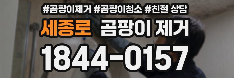 세종로 곰팡이 제거