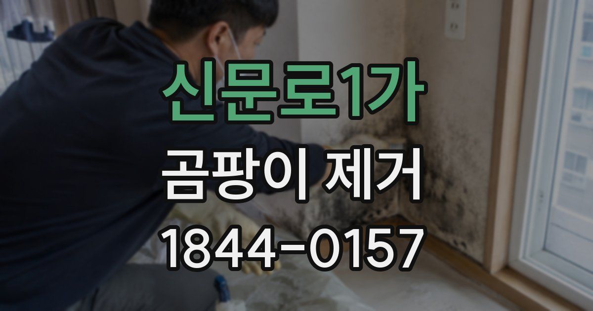 신문로1가 곰팡이 제거