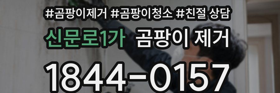 신문로1가 곰팡이 제거