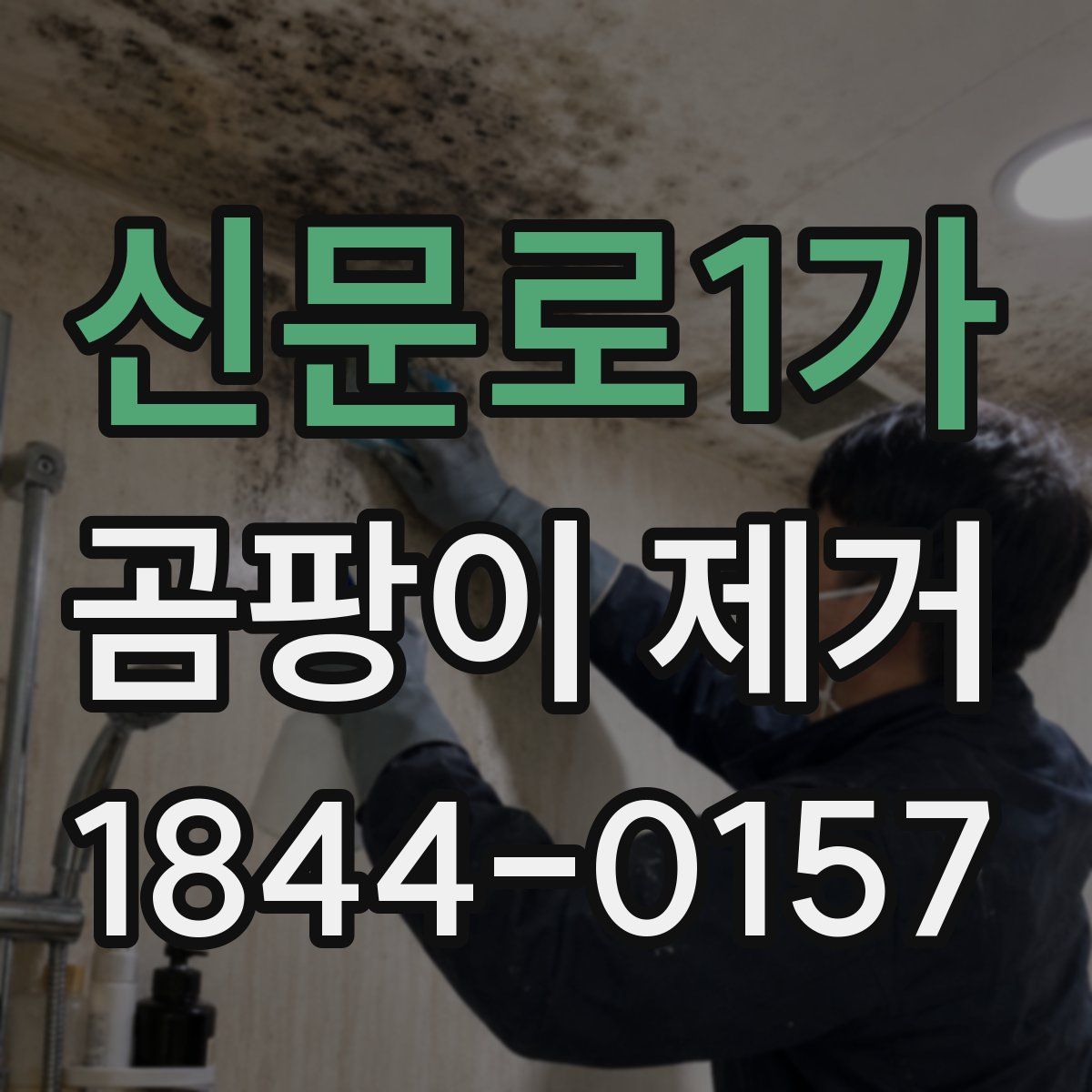 신문로1가 곰팡이 제거