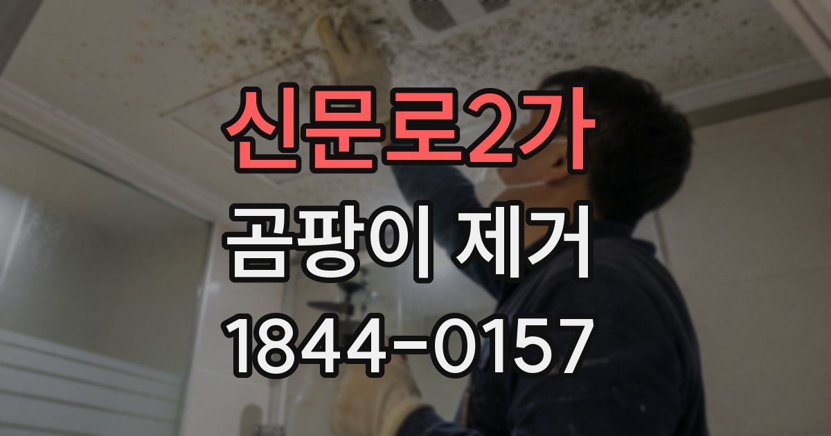 신문로2가 곰팡이 제거