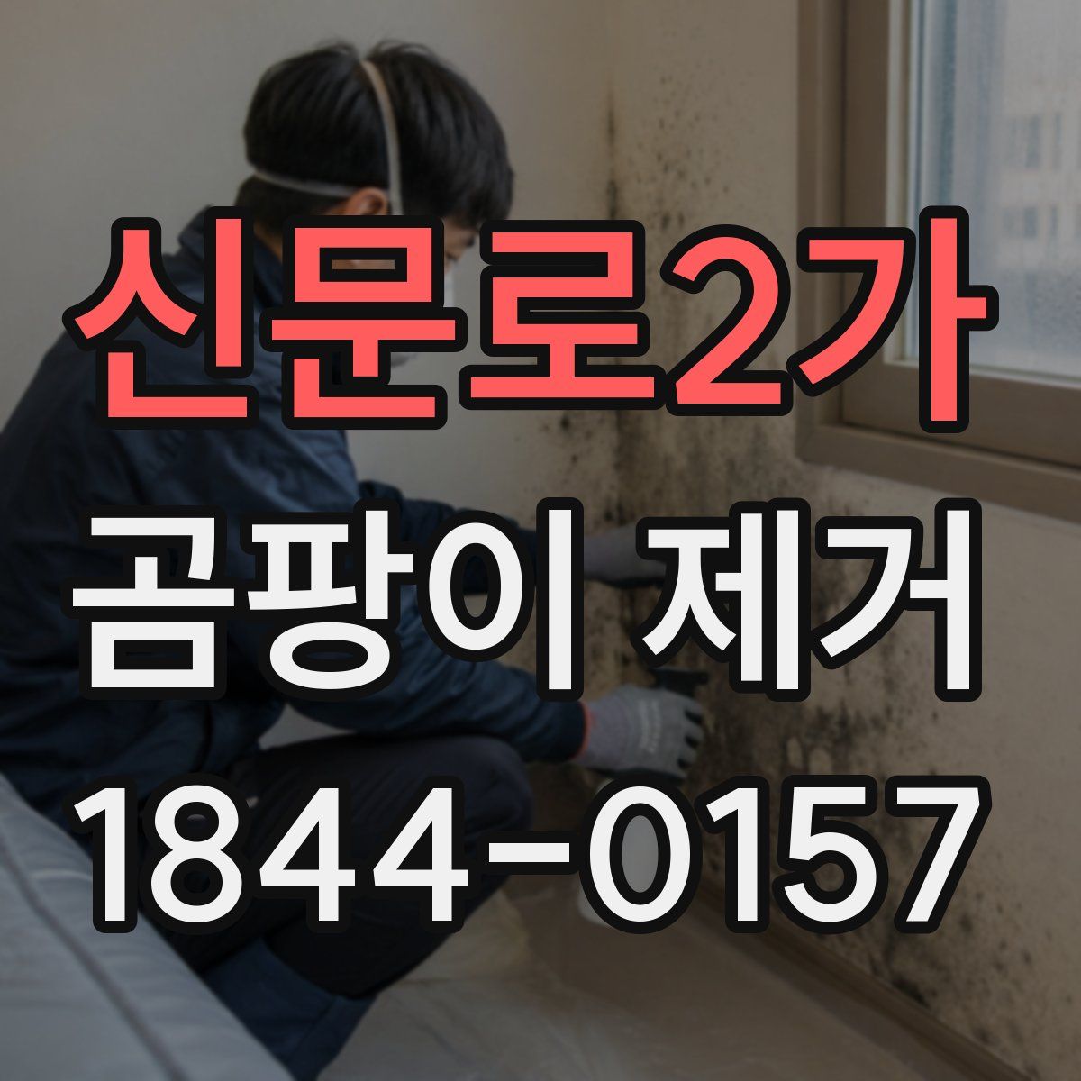 신문로2가 곰팡이 제거