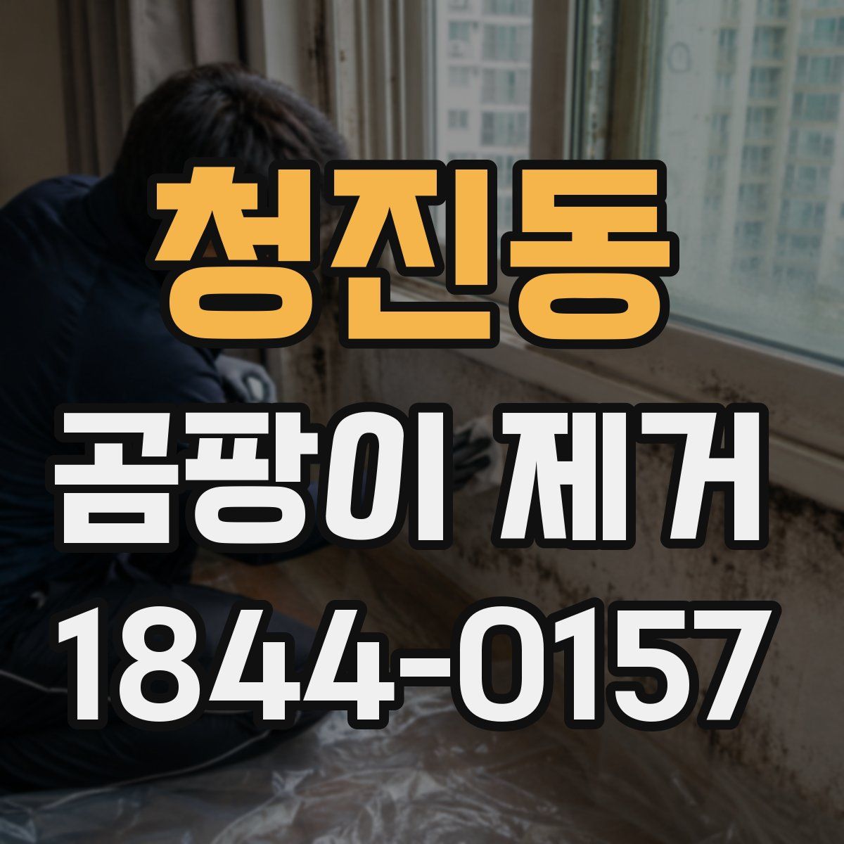 청진동 곰팡이 제거