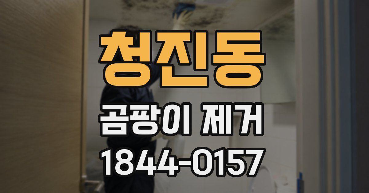 청진동 곰팡이 제거