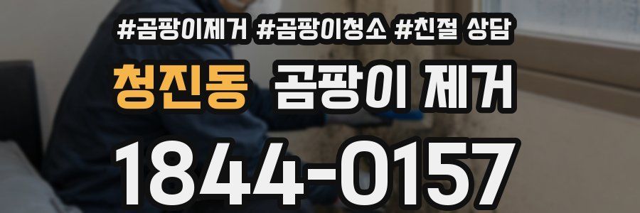 청진동 곰팡이 제거