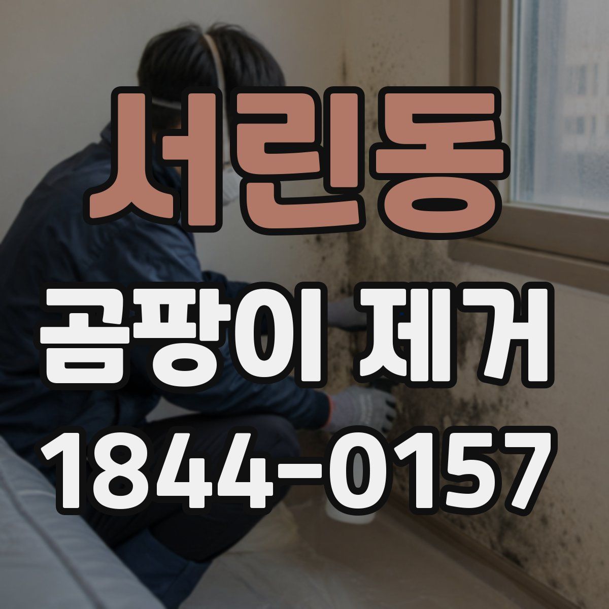 서린동 곰팡이 제거