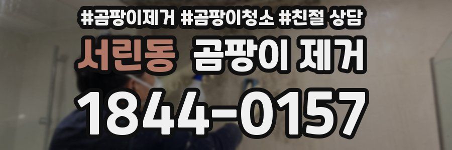 서린동 곰팡이 제거