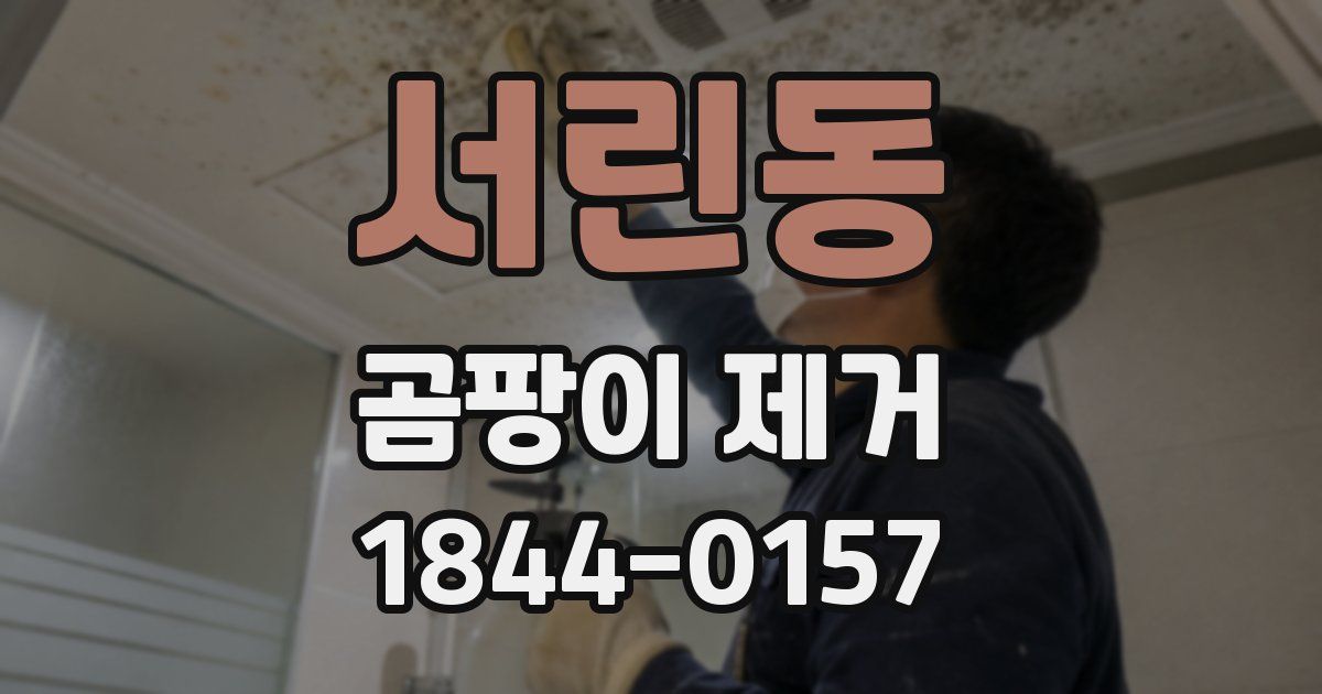서린동 곰팡이 제거