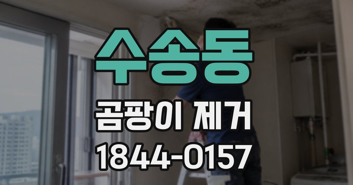 수송동 곰팡이 제거