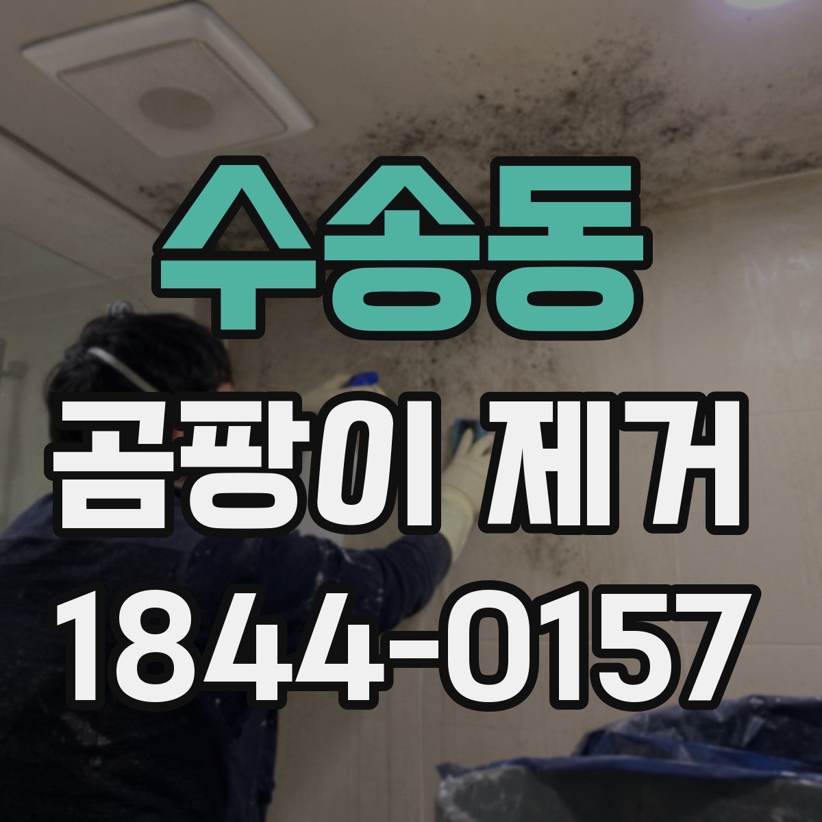 수송동 곰팡이 제거