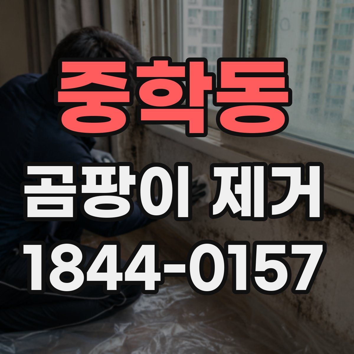중학동 곰팡이 제거