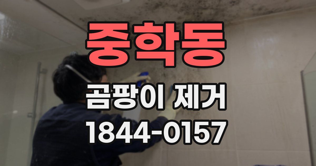 중학동 곰팡이 제거