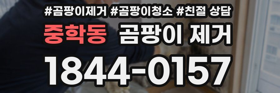 중학동 곰팡이 제거