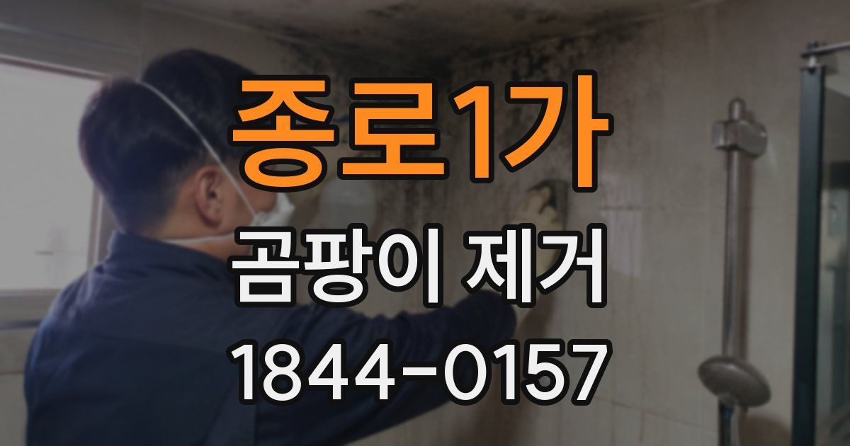 종로1가 곰팡이 제거