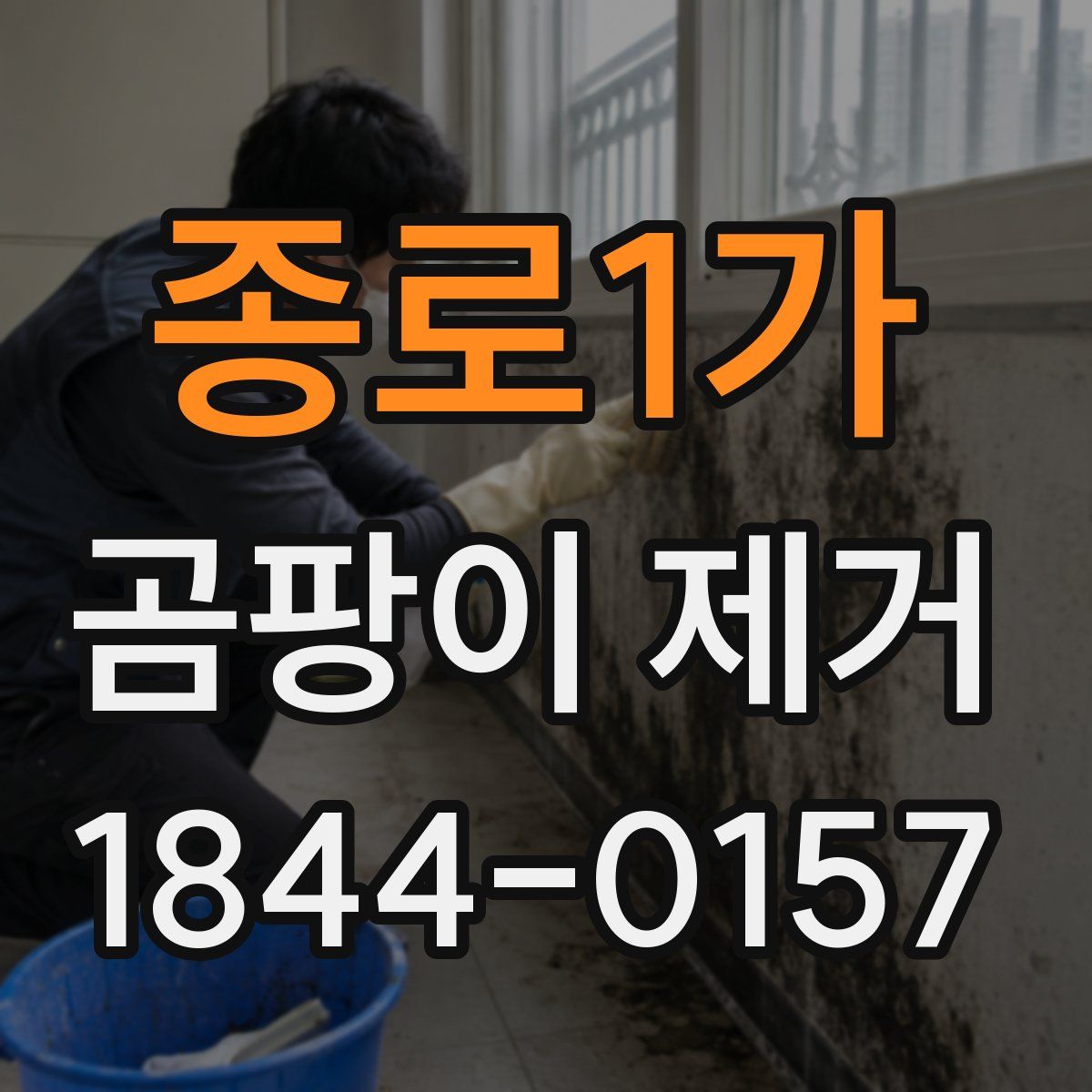 종로1가 곰팡이 제거
