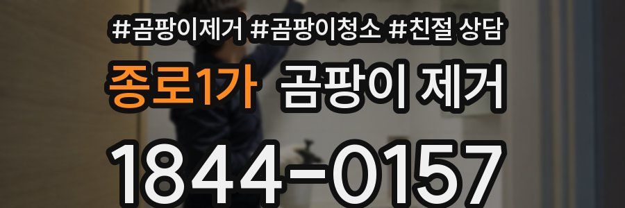 종로1가 곰팡이 제거