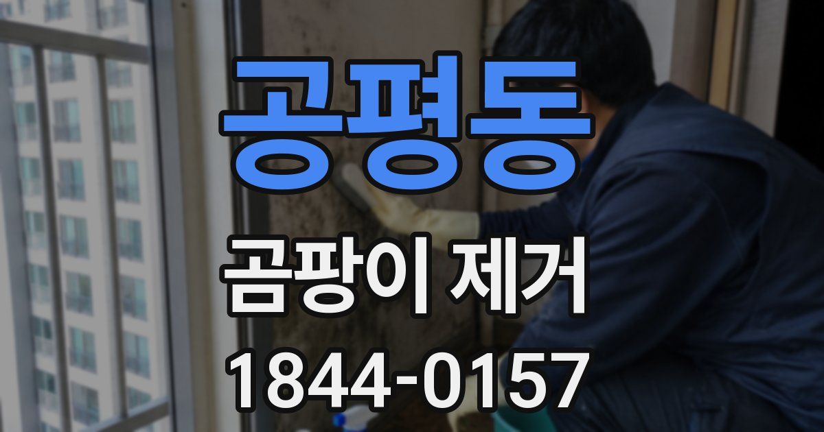 공평동 곰팡이 제거